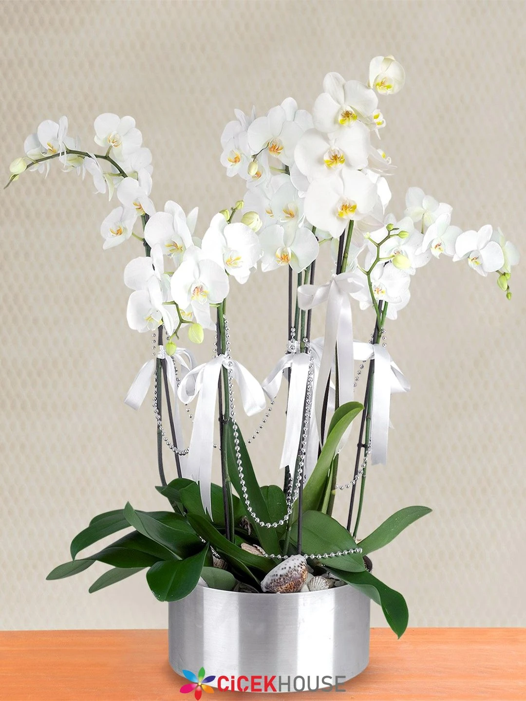6 Dallı Beyaz Orkide