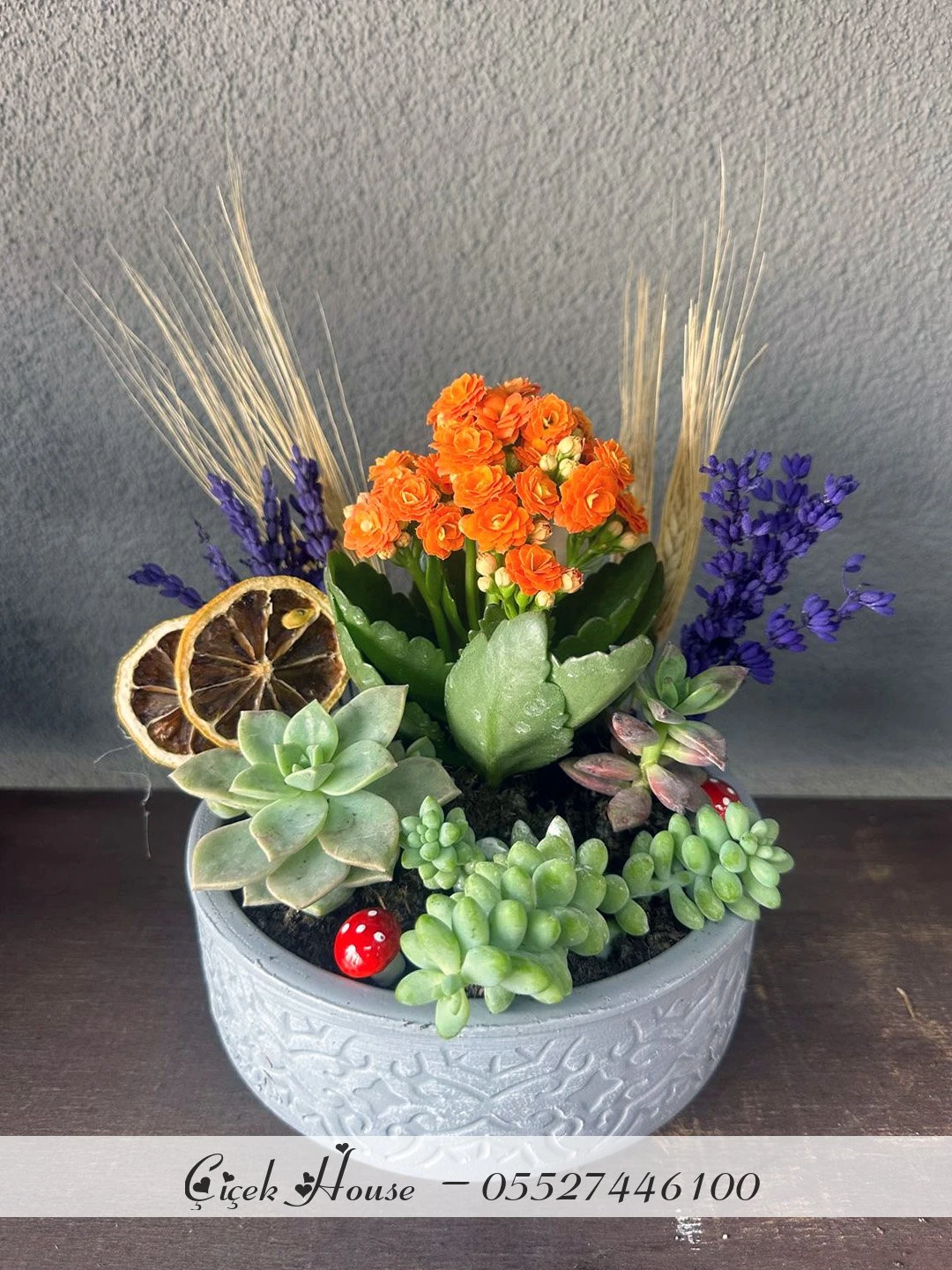 Beton Eskitmede Kalanchoe ve Skulent Aranjmanı