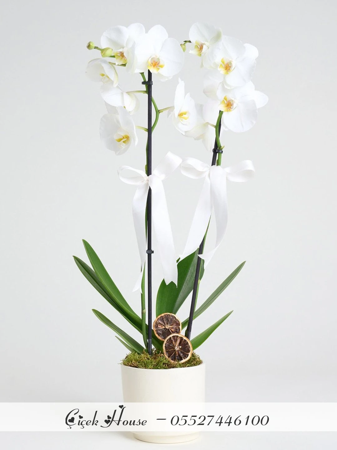 Beyaz Seramikte Beyaz Orkide