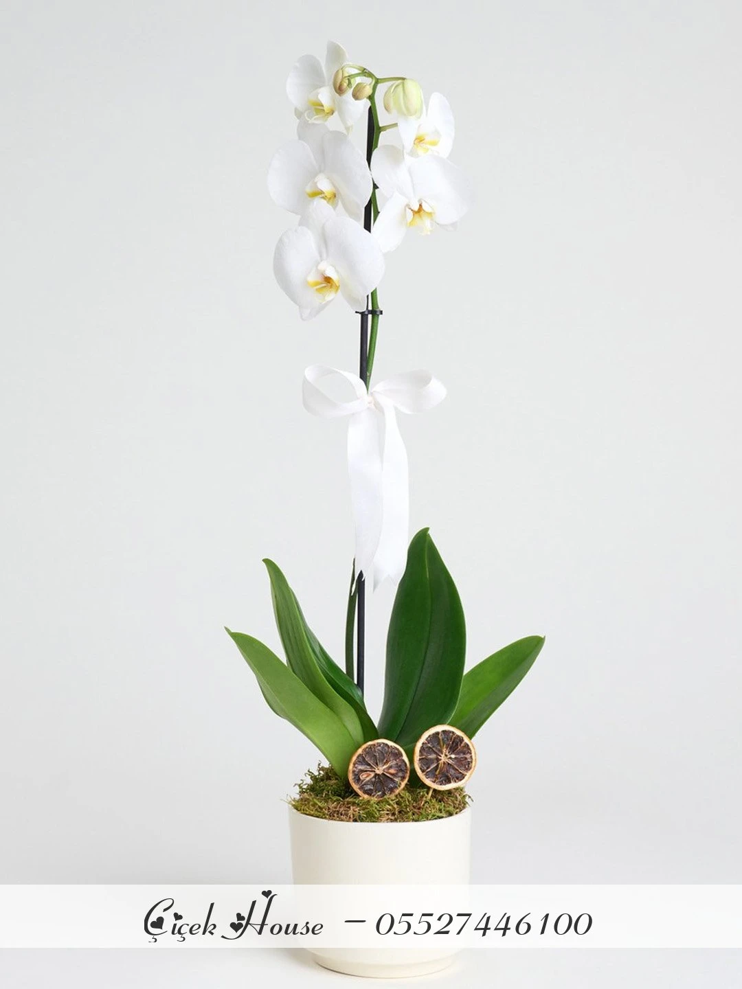 Beyaz Seramikte Tek Dal Beyaz Orkide