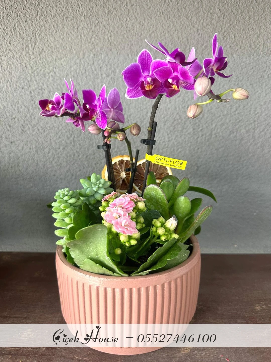 Kiremit Saksıda Mini Orkide ve Kalanchoe Aranjmanı