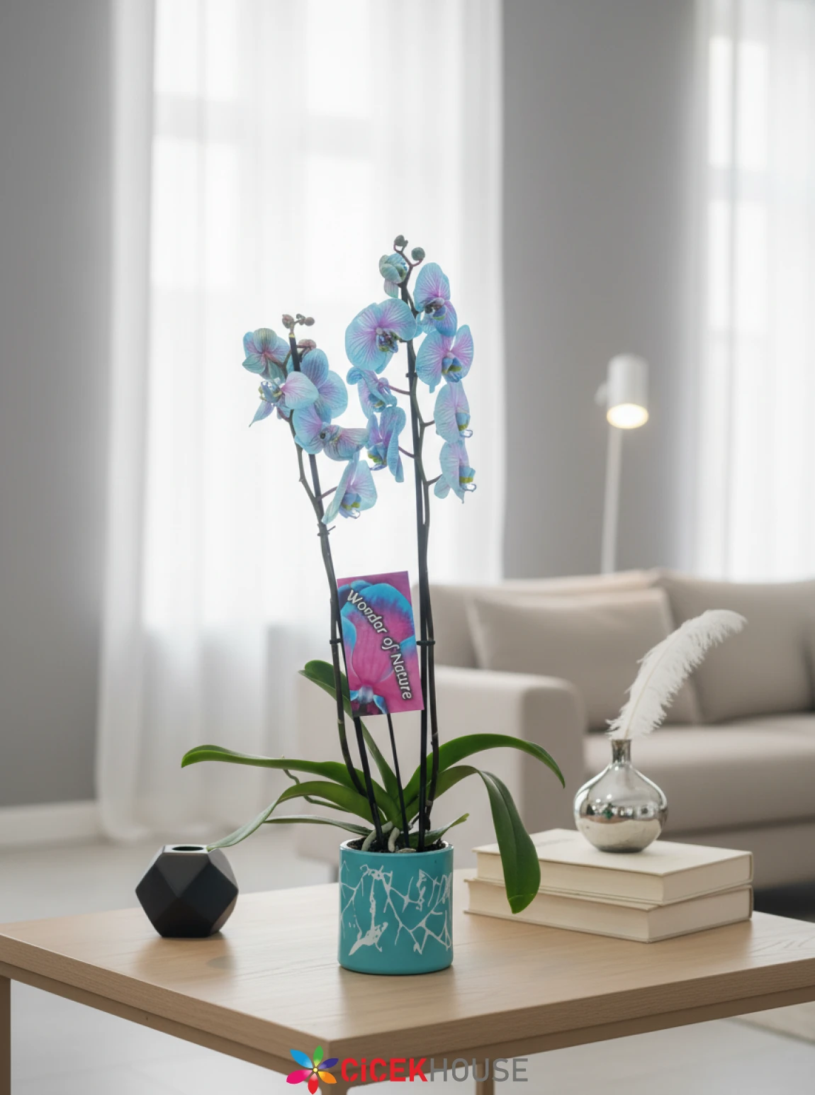 Mavi Seramikte Bubble Mavi Orkide