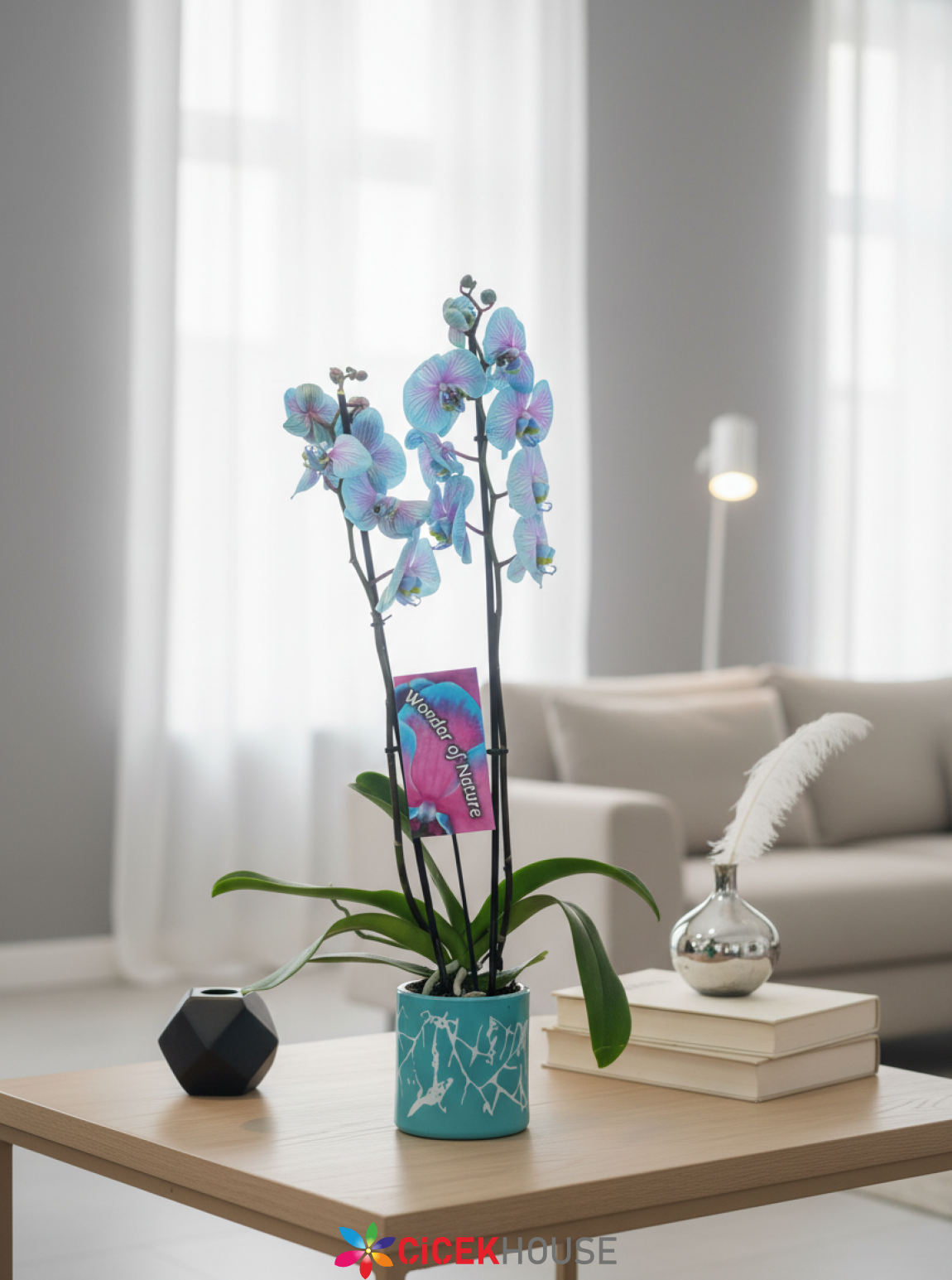 Mavi Seramikte Bubble Mavi Orkide