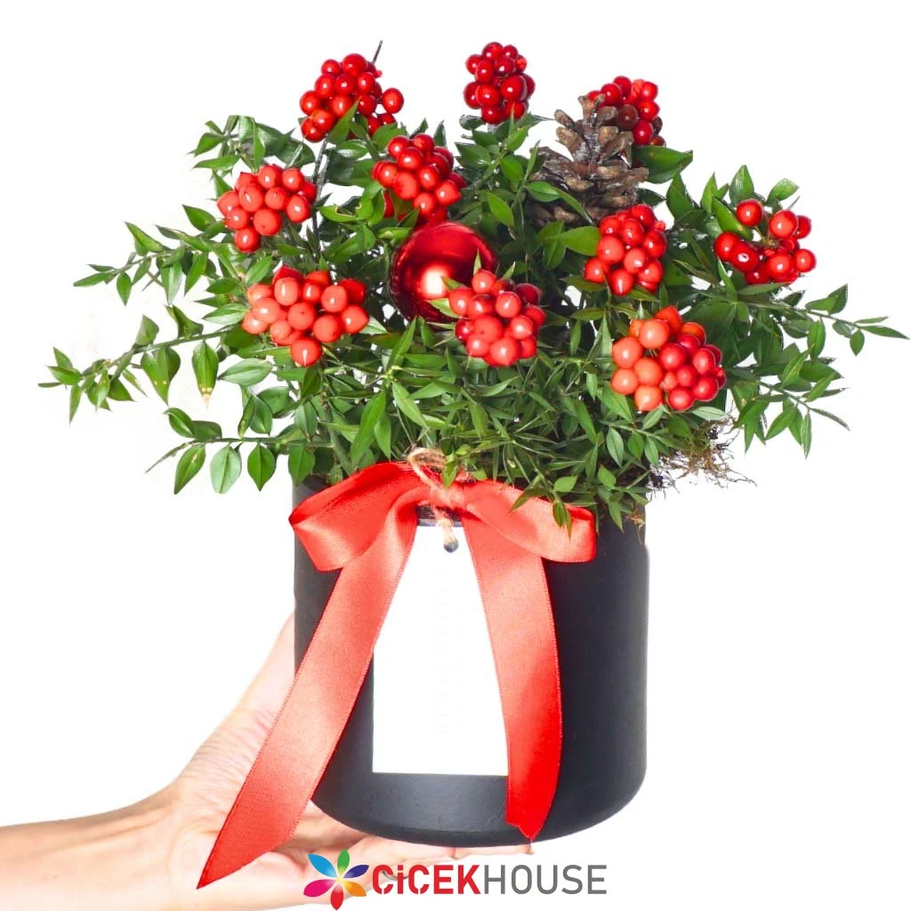 Siyah Kutuda Kokina Aranjmanı