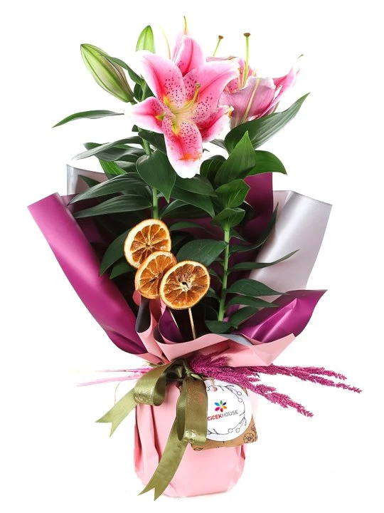 Pembe Kağıtta Saksıda Pembe Lilyum