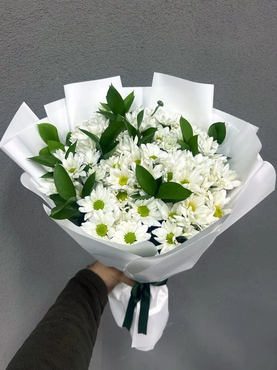 Saf Beyaz Papatya Buketi