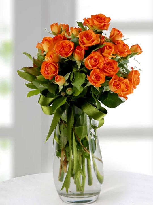 Vazoda Turuncu Çardak Gülü